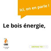 Podcast "Le bois-énergie, on en parle ?"