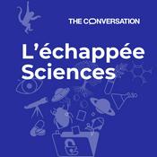 Podcast L’échappée Sciences