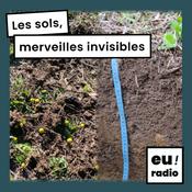 Podcast Les sols, merveilles invisibles - Tiphaine Chevalier