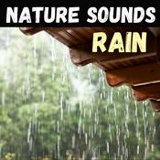 Podcast Nature Sounds - Rain