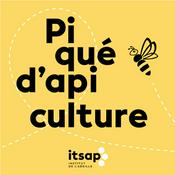 Podcast Piqué d'apiculture