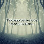 Podcast Promenons-nous dans les bois