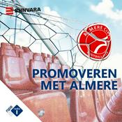 Podcast Promoveren met Almere