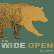 Podcast The Wide Open