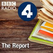 Podcast The Report