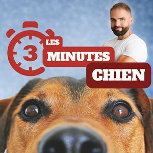 Écoutez 3 minutes chiens dans l'application