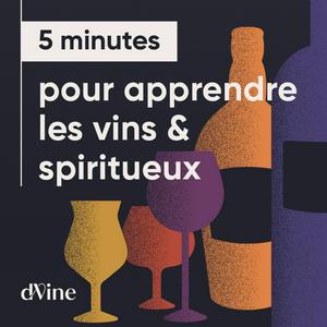 Écoutez 5 minutes pour apprendre le vin dans l'application