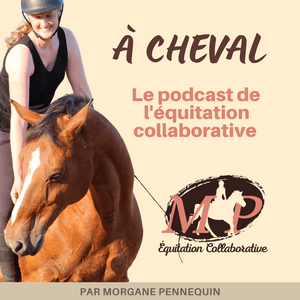 Écoutez À cheval, le podcast de l'équitation collaborative dans l'application