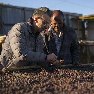 Écoutez Terres de Café dans l'application