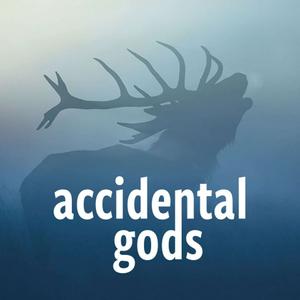 Écoutez Accidental Gods dans l'application