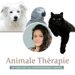 Écoutez Animale Therapie dans l'application