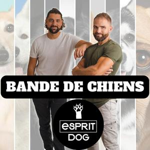 Écoutez Bande de Chiens ! dans l'application