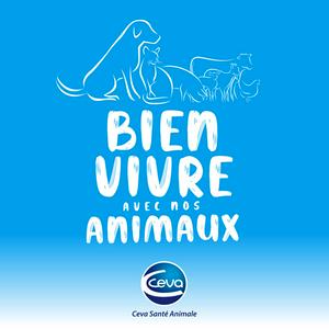 Écoutez Bien vivre avec nos animaux dans l'application