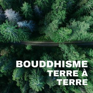 Écoutez Bouddhisme terre à terre dans l'application