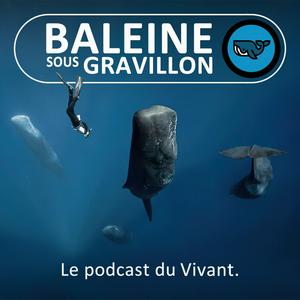 Écoutez Baleine sous Gravillon dans l'application