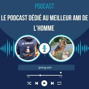 Écoutez DOG ADN dans l'application