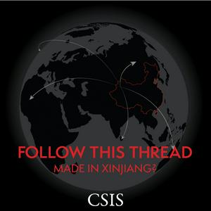 Écoutez Follow This Thread: Made in Xinjiang? dans l'application