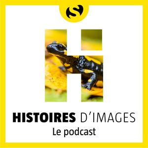 Écoutez Histoires d'images dans l'application