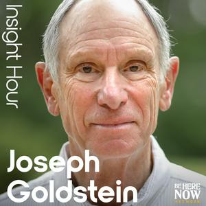 Écoutez Insight Hour with Joseph Goldstein dans l'application