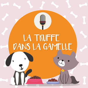 Écoutez La Truffe dans la Gamelle dans l'application