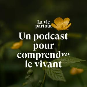 Écoutez La vie partout dans l'application