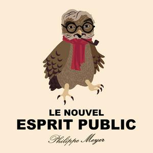 Écoutez Le Nouvel Esprit Public dans l'application