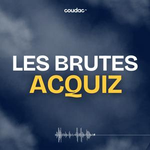 Écoutez Les Brutes Acquiz by Coudac (ex les brutes e-commerce) dans l'application