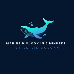 Écoutez Marine Biology in 5 Minutes dans l'application