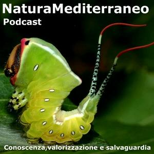 Écoutez Natura Mediterraneo Podcast dans l'application