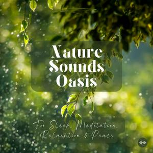 Écoutez Nature Sounds Oasis | Relaxing Nature Sounds For Sleep, Meditation, Relaxation Or Focus | Sounds Of Nature | Sleep Sounds, Sleep Music, Meditation Sounds, Ocean Waves, Rain, White Noise & More dans l'application