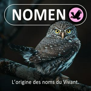 Écoutez Nomen dans l'application