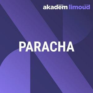 Écoutez Parachat Hachavoua 5785 dans l'application