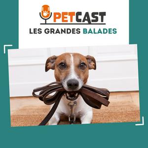 Écoutez Les grandes balades 🌳🐾 dans l'application