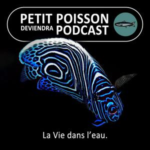 Écoutez Petit Poisson deviendra Podcast dans l'application