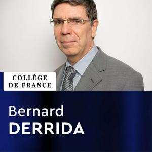 Écoutez Physique statistique - Bernard Derrida dans l'application