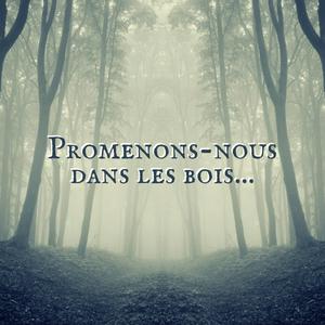 Écoutez Promenons-nous dans les bois dans l'application