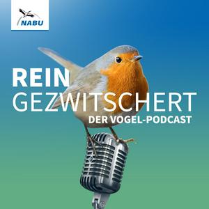 Écoutez REINGEZWITSCHERT – der Vogel-Podcast dans l'application