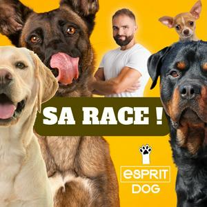 Écoutez Sa Race ! dans l'application