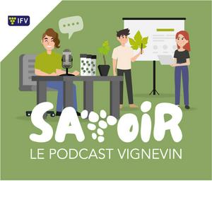 Écoutez Savoir le podcast Vignevin dans l'application