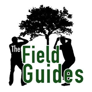 Écoutez The Field Guides dans l'application