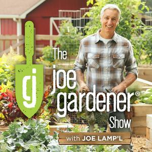 Écoutez The joe gardener Show - Organic Gardening - Vegetable Gardening - Expert Garden Advice From Joe Lamp'l dans l'application