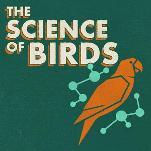 Écoutez The Science of Birds dans l'application