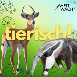 Écoutez Tierisch! – Entdeckungsreise in die wilde Welt der Tiere dans l'application