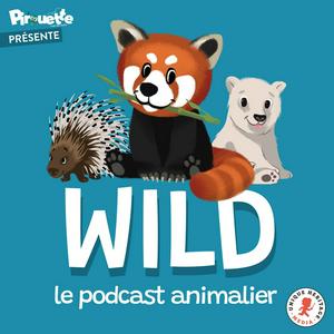 Écoutez Wild, le podcast animalier dans l'application